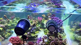 China Clone Jecod Dmp 10 Vortech Mp10Qd Testing Price Quality Good Option