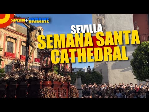 Muy Antigua, Pontificia y Franciscana Hermandad y Cofradía de Nazarenos del Santísimo Cristo de la Fundación y Nuestra Señora de los Ángeles Coronada