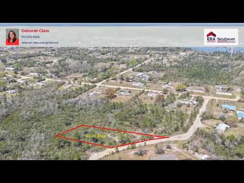 9119 Ibis Lane, Youngstown, FL home video tour
