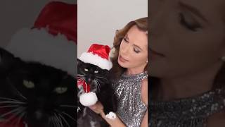 Mi gatito travieso navideño 🎄🙀 #decoración #gatos #navidad