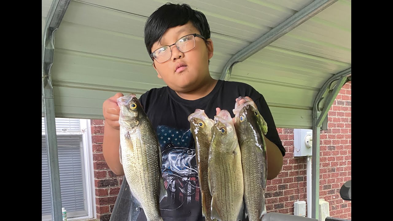 Early morning white bass fishing, large mouth bass and striper fishing