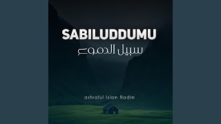 Sabiluddumu