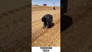 Tech Trending | Desert Planting