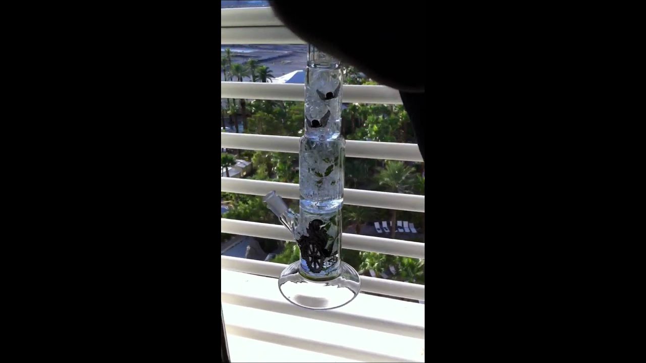 New Sheldon Black Double Microfilter (Triple Chamber w/ 2 S