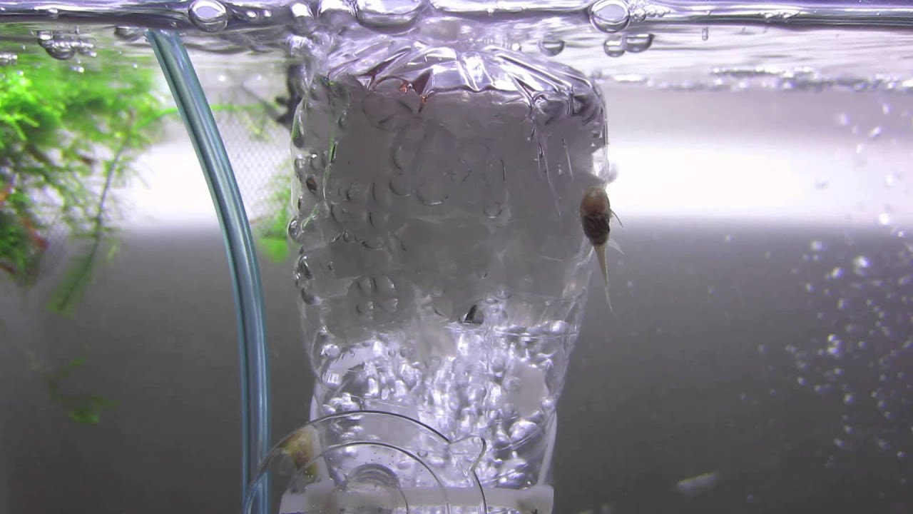 DIY K1 Kaldnes Media filter YouTube