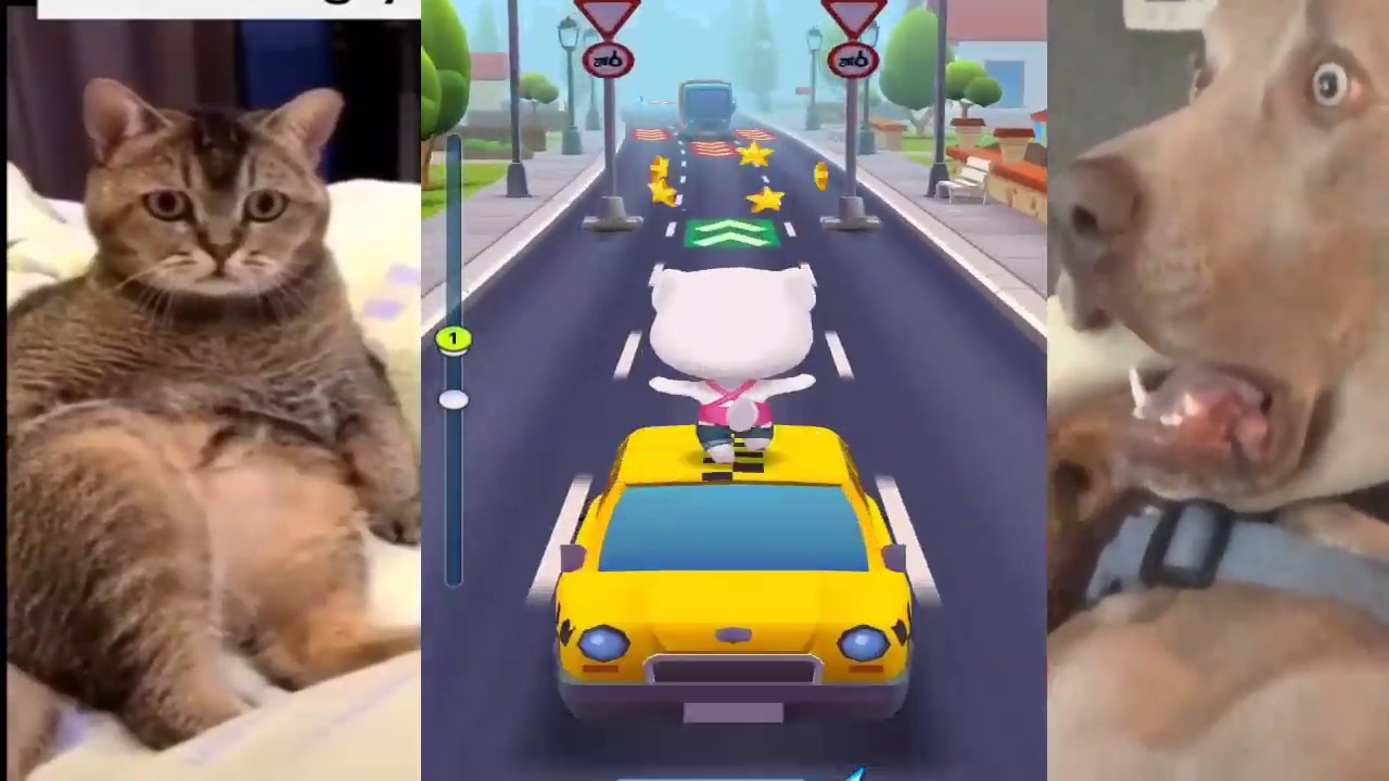 Angela Always Number One Super Run Tom Gold Run Game