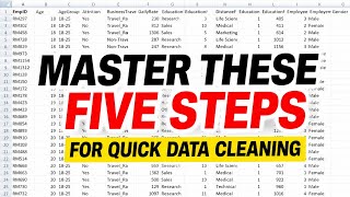 Master These 5 Steps for Quick Data Cleaning in Excel.