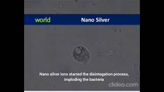 NANO SILVER KILLS BACTERIA