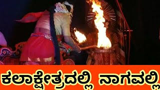 ಕಲಾಕ್ಷೇತ್ರದಲ್ಲಿ ನಾಗವಲ್ಲಿ 🔥ನಾಗವಲ್ಲಿ ಯಕ್ಷಗಾನದ ಕೊನೆಯ ಭಾಗ 🌿 #yakshagana 2026 #perdoormela 
