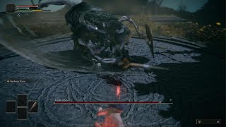Elden Ring - Wretch VS Grafted Scion No Damage