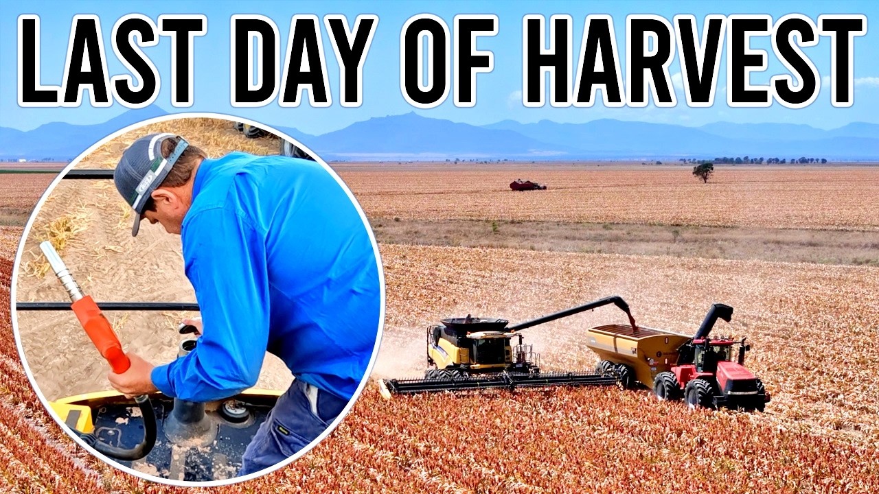 We Got it All Done! | Sorghum Harvest Pt 4 | Vlog 466