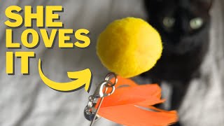 Tested: Oxawo Interactive Cat Toys Cat Exercise Tumbler