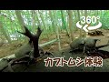 【ムシムシランド】360度VR動画でカブトムシドームを体験しよう！