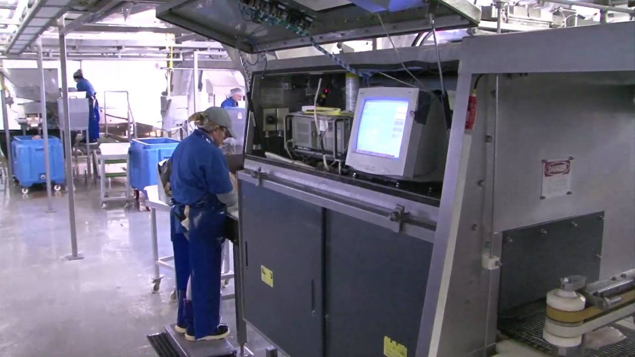 CSI Workforce Training OSHA Safety YouTube