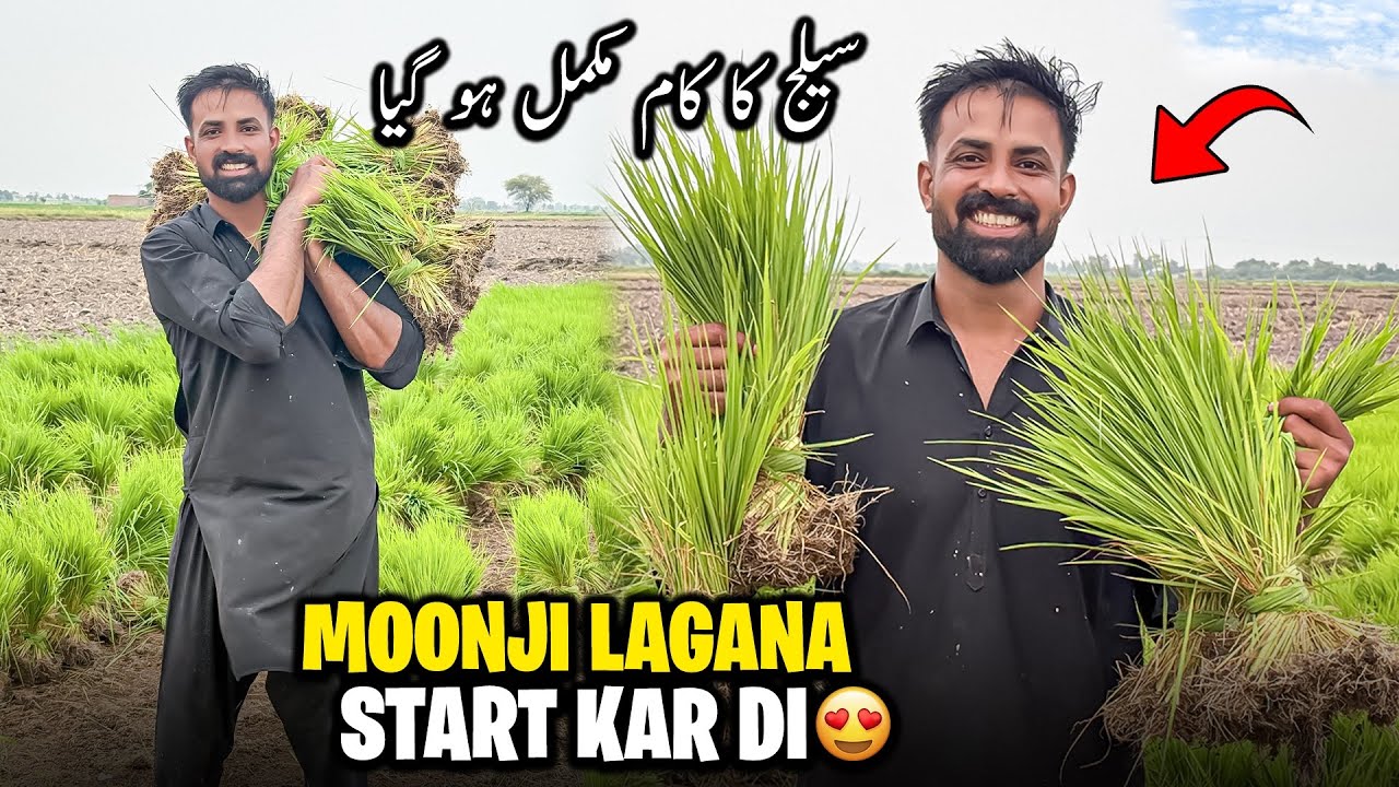 Ek Kaam Khatam or Dosra Kaam Start Alhumdulillah ❤️ | آج مونجھی لگانا شروع کر دی