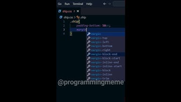 The first time using Css #shorts #meme