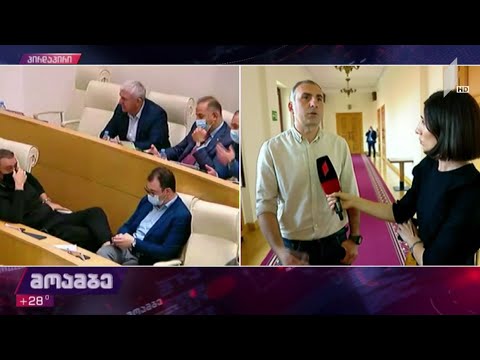 ვითარება პარლამენტში - ალეკო ელისაშვილის განცხადება