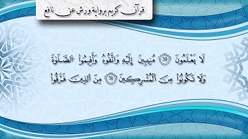 سورة الروم بصوت القارئ الشيخ ياسين الجزائري  برواية ورش