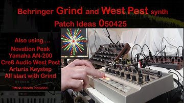 Behringer Grind and West Pest | Synth Patch Ideas | 050425 |