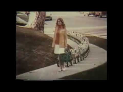 Vintage Avon Commercial - Get to know your Avon lady! - 1970s