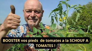 Comment booster vos pieds de tomates : retour de la schnouf à tomates 🍅