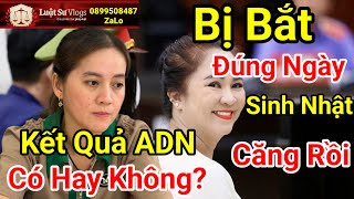 Hồng Loan Con NS Vũ Linh Khi Nào Công Bố Kết Quả AND? Ceo Nguyễn Phương Hằng Dự Đoán? Luật Sư Vlogs