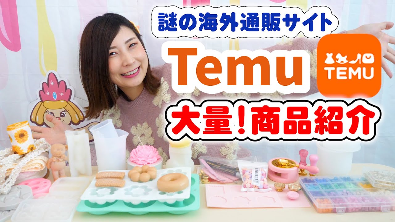最近よく見る怪しげな海外通販サイト「Temu」の商品紹介【 こうじょう