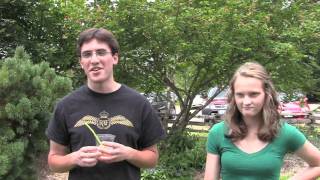 Volunteer Stories, Graham & Carolyn