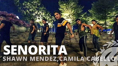 SENORITA by Shawn Mendes,Camila Cabello | Zumba | Pre Cool Down | TML Crew Kramer Pastrana