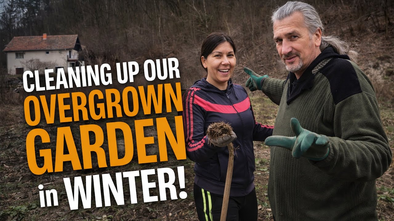 Naša bašta zimi – veliko čišćenje i priprema za proljeće