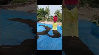 বাড়ি এসে কালোজিরা রোদে দিতে হলো#original content#highlight followers#viral video#village life
