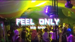 FEEL ONLY ( SEB RMX )