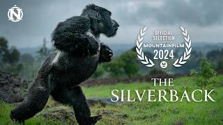 The Silverback by Natural Habitat Adventures 26,260 views 10 months ago 15 minutes