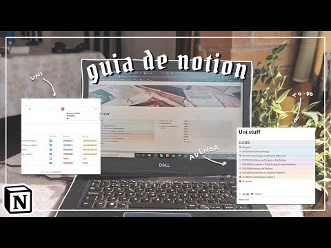Cómo usar Notion