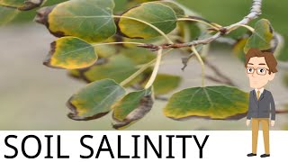 SOIL SALINITY