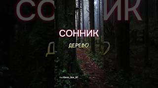 ❓Что снилось вам, пишите. #рекомендации #сновидения #сонник #толкование