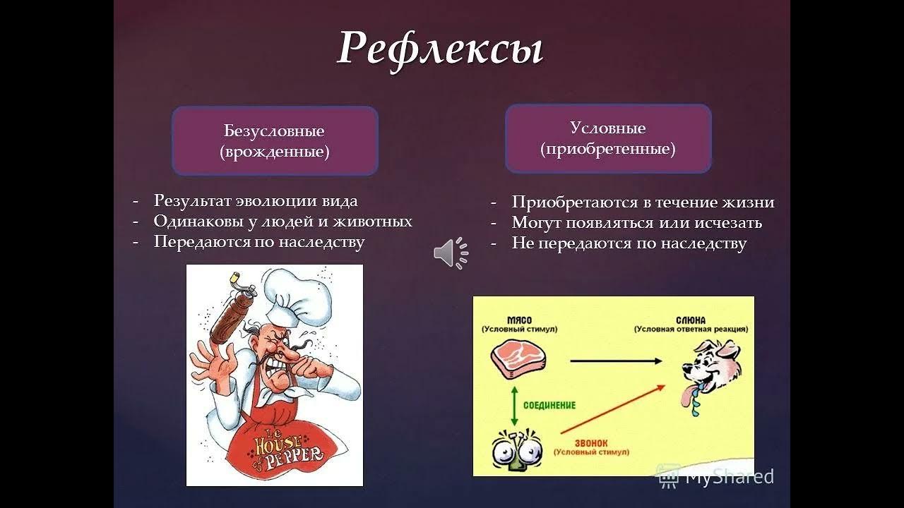 Врожденные рефлексы примеры у человека. Примеры условных рефлексов у человека. Условные рефлексы примеры. Безусловные рефлексы примеры. Условные рефлексы e xtkjdstrf ghbvths.