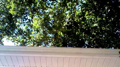 Car Start Up whining noise