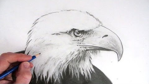 How to Draw an Eagle