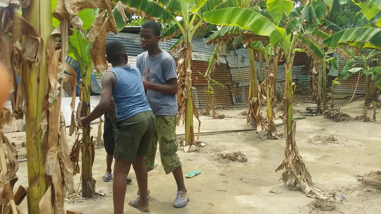 Moina maskini 