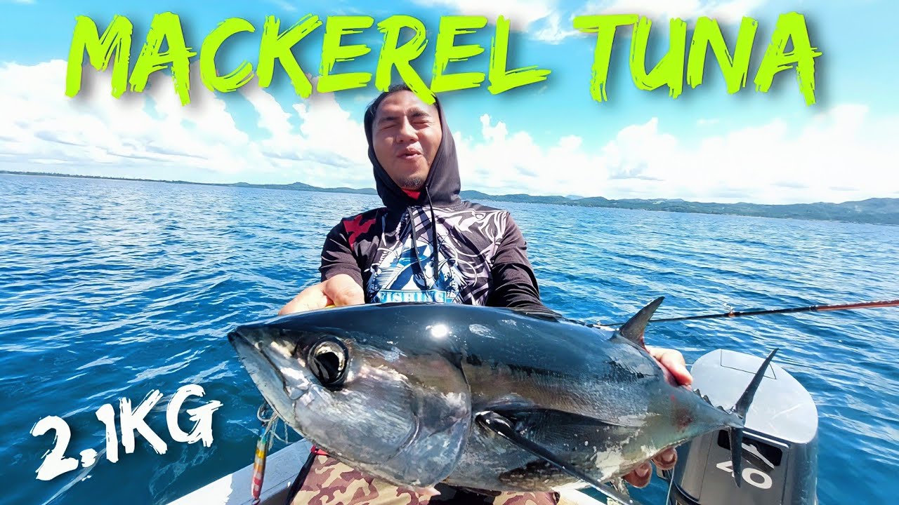 Micro Jig?! Crazy Strike in Bagang Pitas Sabah! 