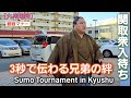 関取衆入待ち。感動した兄弟の絆。観戦マナー【大相撲】訂正若碇→碇潟さんです。