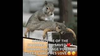 ۱ مارس ۲۰۲۴