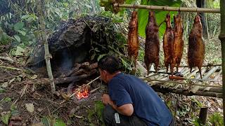 48 Hours of Survival in the Tropical Rainforest