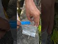 Tricks for watering trees using plastic and containers.#shorts