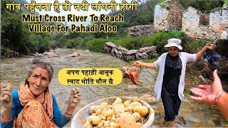 For Pahadi Aloo Crossed River To The Pali Village As Potatoes Of Hills Are The Best & Tasty 