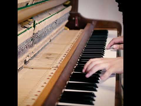 Doeke - Vogeltrek