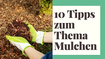 Welcher Mulch ist der beste gegen Unkraut?