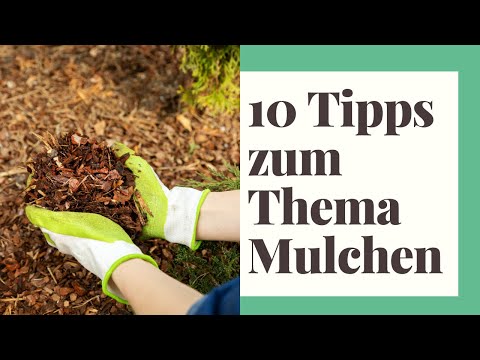 Video: Mulchanwendung in Gärten - So verbreitet man Gartenmulch