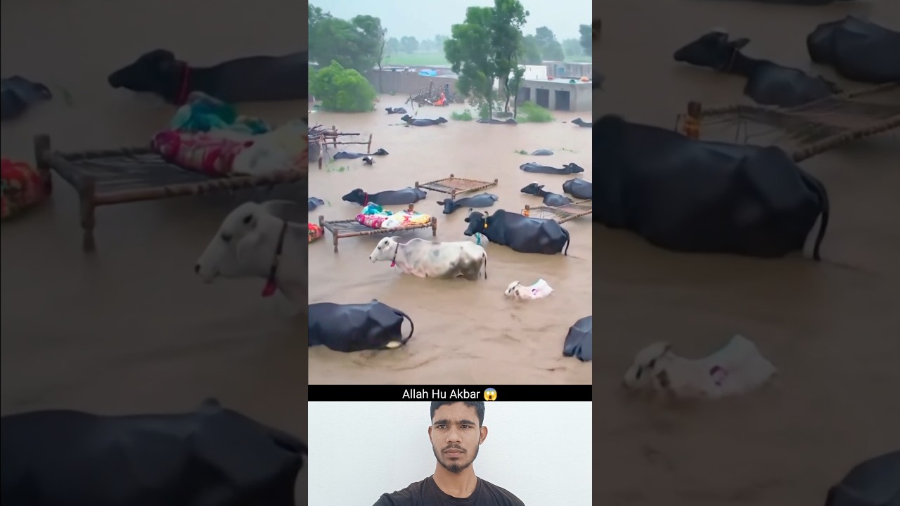 '' Allah hu Akbar 😱 '' #shortsfeed #muslimcontent #duet #trending #ilovemohammadﷺ #panjab #news